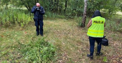 35 ściętych krzewów konopi miało trafić do szkół